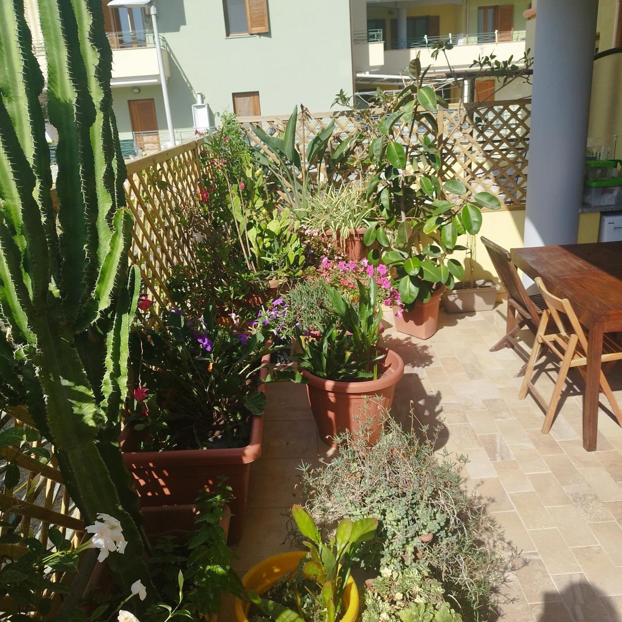Apartamento Alghero Lovely Flat Exterior foto